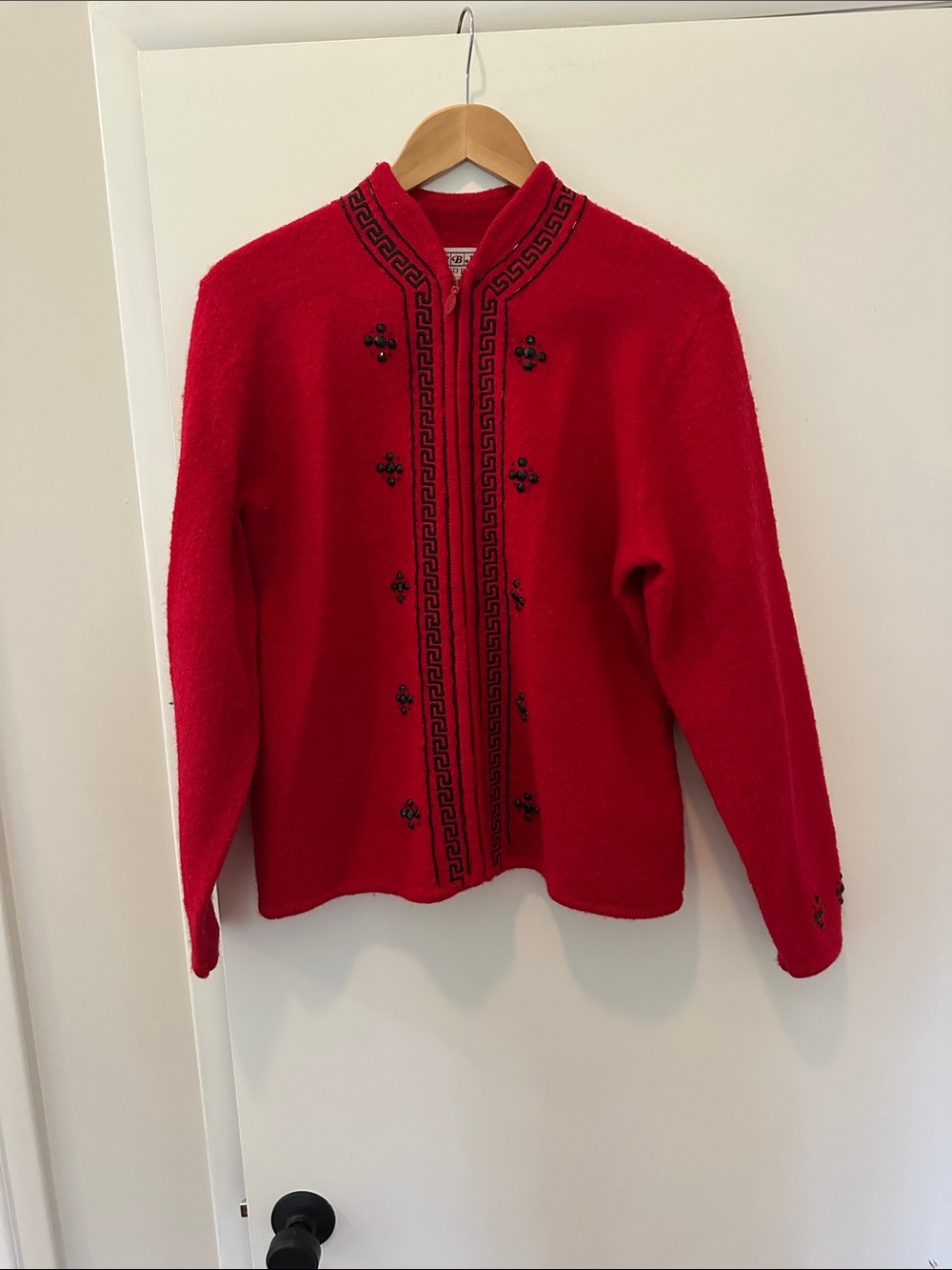 Wool Red Embroidered Teddy Jacket with Black Trim